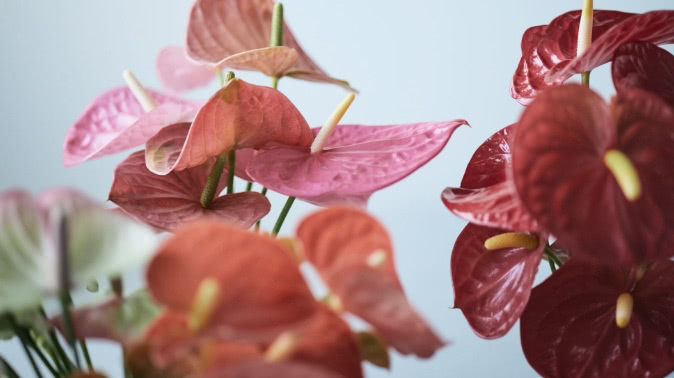 CONCEPT 大切に想うこと